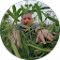 Bern Hart Avatar