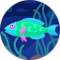 Gloria Avatar